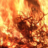 Thumbnail for Die in a fire!!!