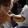 Thumbnail for Ducks have more fun