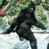 Thumbnail for Bigfoot is Blurry