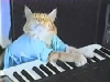 Thumbnail for Keyboard cat