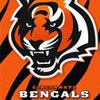 Thumbnail for Bengals Greeting