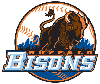 Thumbnail for Bisons Greeting