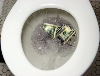 Thumbnail for flush toilet then ditch