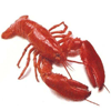 Thumbnail for Boiled Lobster