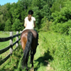 Thumbnail for Out Horseback Riding