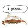 Thumbnail for honda commercial with crab