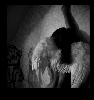 Thumbnail for Bullet Proof by La Roux