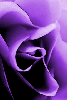 Thumbnail for say yes
