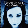 Thumbnail for Evanescence - Call Me When You're Sober