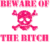 Thumbnail for Beware of that Bitch
