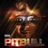 Thumbnail for Pitbull - Hey Baby
